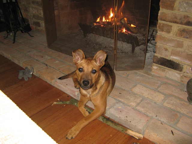 Rusty with his stick and elephant keeping warm by the fire